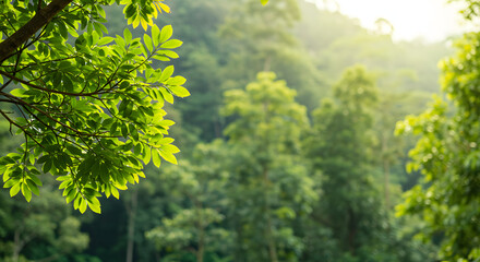 Fototapeta premium Earth Day and World Environment Day, Spring, Tropical tree leaves and branch with beautiful green forest background