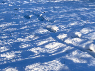 Snow covered ground with footprints 