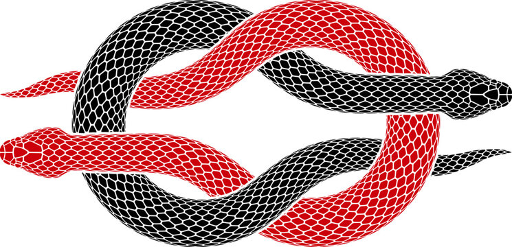 Vector illustration of two snakes intertwined in shape of granny knot sign. Isolated tattoo design of serpent silhouette of grief knot symbol.