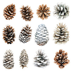 Different types of cones displayed in a grid showcasing various shapes, colors, and textures