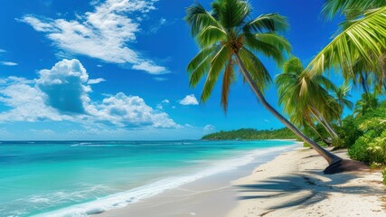Vibrant beach scene featuring palm trees, clear ocean water, and sunny skies, ideal for vacation and relaxation