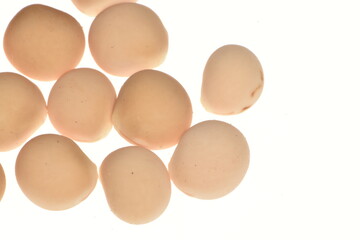 Lupinen,  Lupinus spp.