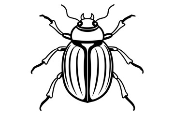 beetle silhouette line art vector illustration with a white background
