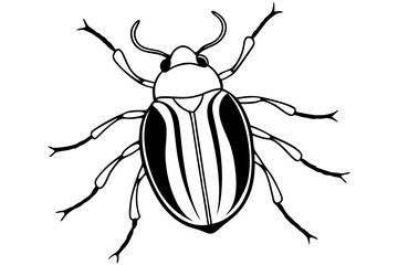 beetle silhouette line art vector illustration with a white background