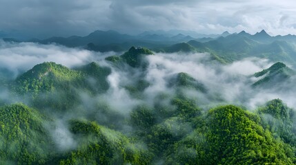 Misty Mountains Lush Green Forested Peaks