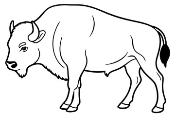 bison silhouette line art vector illustration with a white background