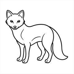 Arctic fox  line art