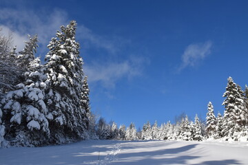 The recreational playground in winter, Sainte-Apolline, Québec, Canada