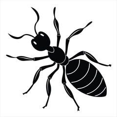Leafcutter Ant silhouette vector illustration on white background