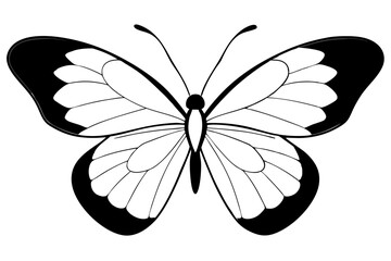 butterfly silhouette line art vector illustration with a white background