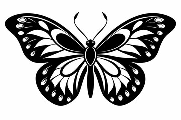 butterfly silhouette line art vector illustration with a white background