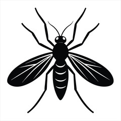 Sandfly Silhouette vector with white background