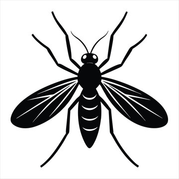 Sandfly Silhouette vector with white background