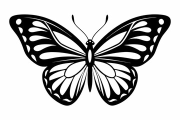 butterfly silhouette line art vector illustration with a white background