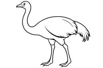 cassowary silhouette line art vector illustration with a white background