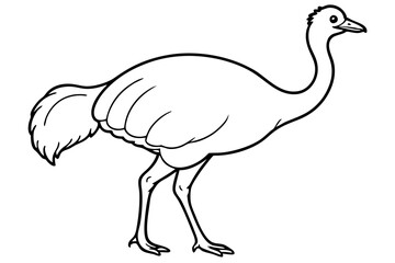 cassowary silhouette line art vector illustration with a white background