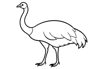 cassowary silhouette line art vector illustration with a white background