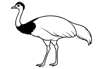 cassowary silhouette line art vector illustration with a white background