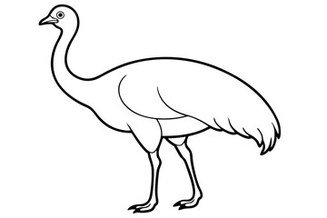 cassowary silhouette line art vector illustration with a white background