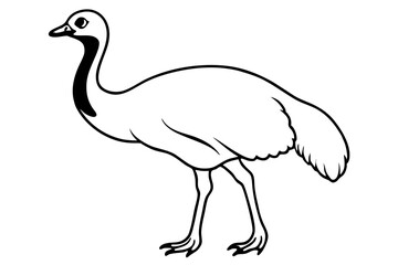 cassowary silhouette line art vector illustration with a white background