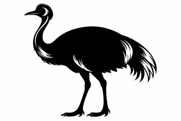cassowary silhouette line art vector illustration with a white background