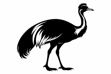 cassowary silhouette line art vector illustration with a white background