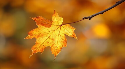 Fototapeta premium CloseUp of a Single Autumn Leaf on a Tree Branch with a Soft Bokeh Background : Generative AI