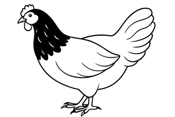 chicken silhouette line art vector illustration with a white background