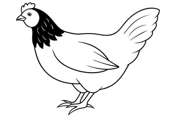 chicken silhouette line art vector illustration with a white background