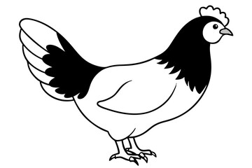 Fototapeta premium chicken silhouette line art vector illustration with a white background