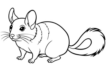 chinchilla silhouette line art vector illustration with a white background
