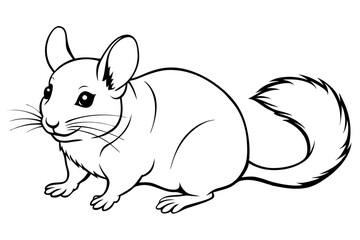 chinchilla silhouette line art vector illustration with a white background