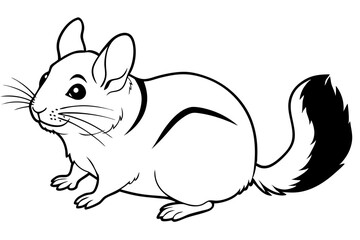 chinchilla silhouette line art vector illustration with a white background