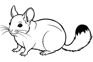 chinchilla silhouette line art vector illustration with a white background