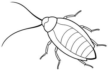 cockroach silhouette line art vector illustration with a white background