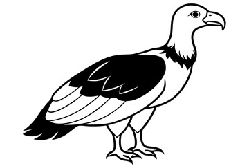 condor silhouette line art vector illustration with a white background