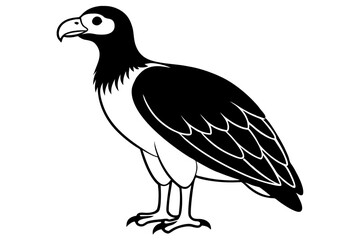 Obraz premium condor silhouette line art vector illustration with a white background