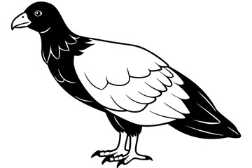 Fototapeta premium condor silhouette line art vector illustration with a white background