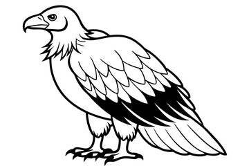 condor silhouette line art vector illustration with a white background