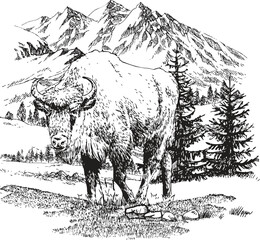 Naklejka premium A detailed, black and white illustration of a yak standing amidst a serene mountainous scene.