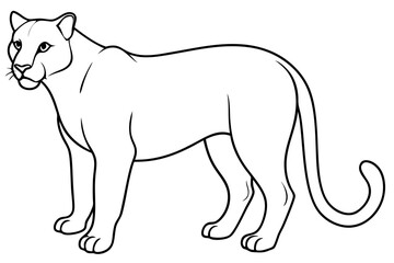 cougar silhouette line art vector illustration with a white background