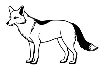 coyote silhouette line art vector illustration with a white background