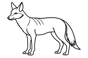 coyote silhouette line art vector illustration with a white background
