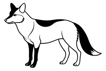 coyote silhouette line art vector illustration with a white background