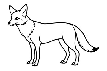 coyote silhouette line art vector illustration with a white background