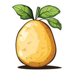 elegant illustration of potato on white
