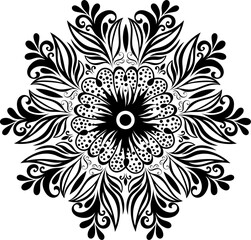 Round Pattern  Nature's Inspiration