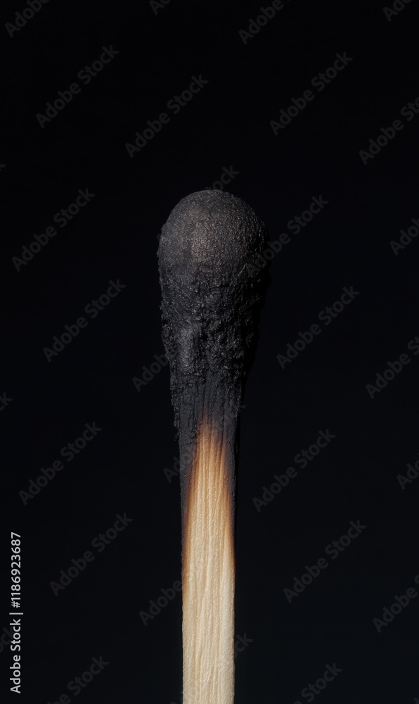 Poster unique close-up view of a burnt matchstick with a charred head against a dark background showcasing 