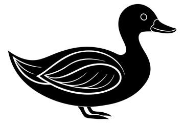 duck isolated on white