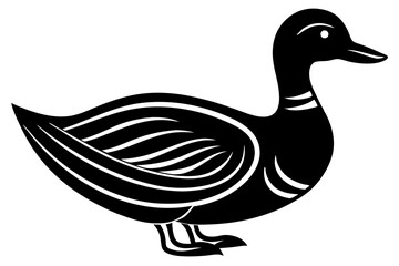 duck isolated on white background